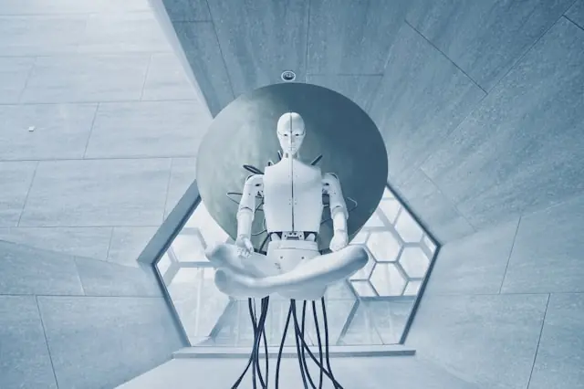 Humanoide Roboter Aktien im Realitätscheck Humanoide Roboter Aktien im Realitätscheck